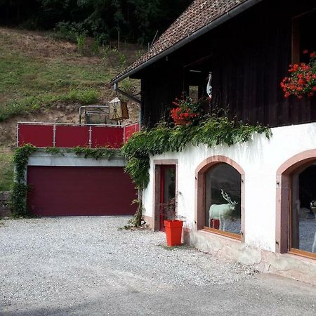 Le Moulin Des Automates Appartement Fréland Buitenkant foto