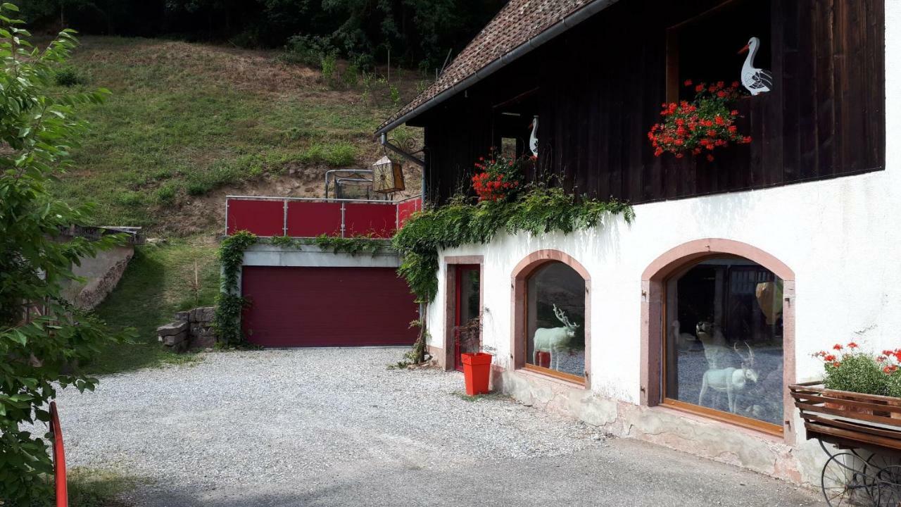 Le Moulin Des Automates Appartement Fréland Buitenkant foto